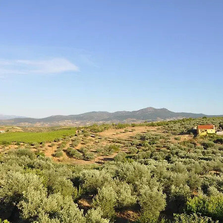 Quinta Rota D' Oliveira Santa Maria de Emeres