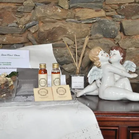 Farm stay Quinta Rota D' Oliveira