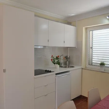 Farm stay Quinta Rota D' Oliveira