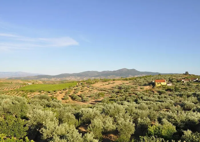 Quinta Rota D' Oliveira Santa Maria de Émeres