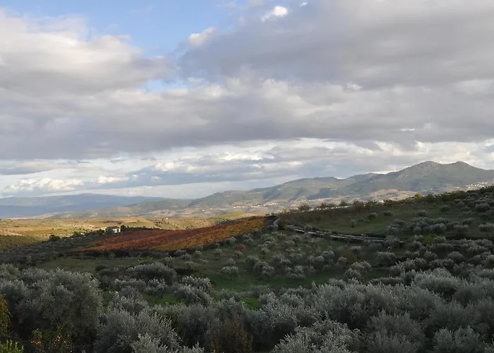 Quinta Rota D' Oliveira Santa Maria de Émeres