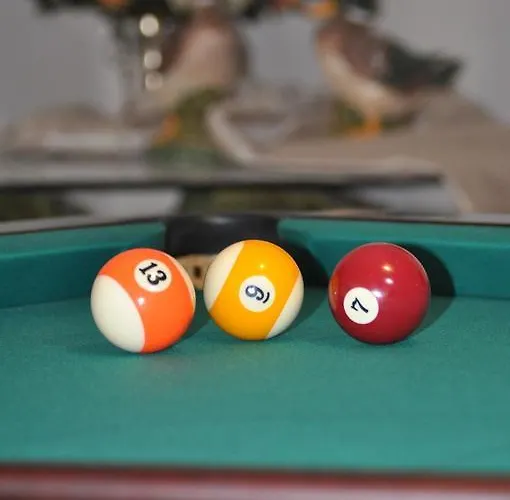 Séjour à la ferme Quinta Rota D' Oliveira *